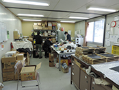 おがつ店こ屋街-2014.04.15-フォト2